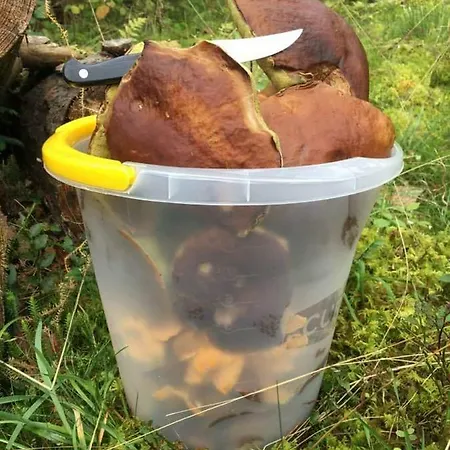 Na Mazurach Rojo, Polska Wies 26h Ferienhaus