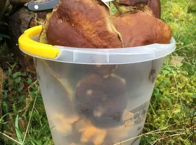 Na Mazurach Rojo, Polska Wieś 26h Dom wakacyjny